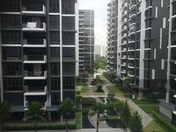 La Fiesta (D19), Condominium #129404402